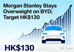 方舟投资持续加仓,比亚迪成为海外资本