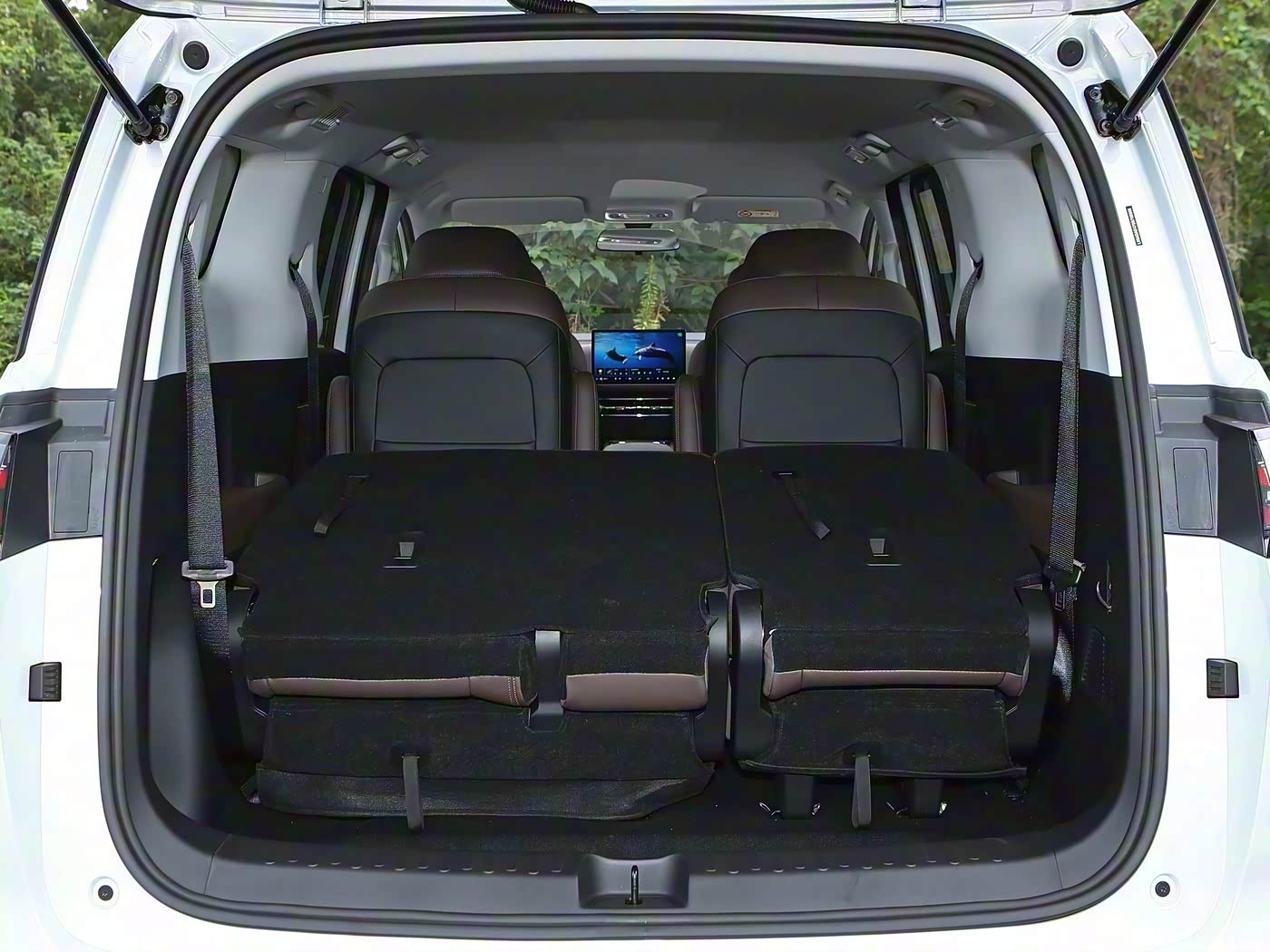 1768384321477702.jpg 7.jpg