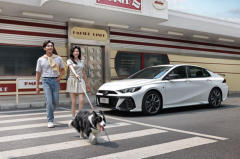 <strong>春节出行自由选影豹</strong>