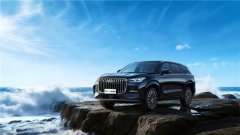 <strong>鲲鹏2.0T赛级动力+低油耗，全新一代瑞虎</strong>